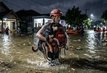Bencana Datang, Jangan Lupakan Hewan Peliharaan