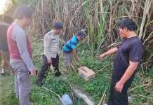 Bayi Perempuan Dibuang di Gondanglegi Malang, Diduga Hasil Hubungan Gelap