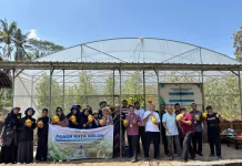Panen Raya Melon Hidroponik, Bukti Wakaf Produktif Pesantren