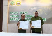 Jembatan Kaca Bromo Siap Dibuka untuk Wisatawan saat Libur Sekolah