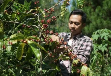 Wonosantri, Gerakan Anak Muda yang Menjaga Hutan Lereng Arjuno