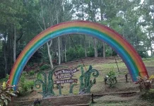 Healing Seru di Camping Ground Bedengan Malang