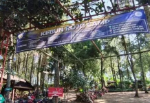 Menyatu dengan Alam di Kebon Raja Malang