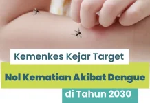 Kemenkes Targetkan Nol Kematian DBD pada 2030