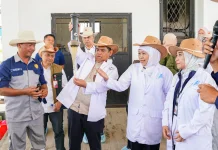 BBIB Singosari Kembangkan Bibit Sapi Wagyu dan Belgian Blue
