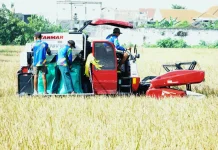 Pemkot Pasuruan Targetkan Luas Tambah Tanam Padi 2.159 Hektare di 2026