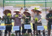 DPD Tani Merdeka Pasuruan Raya Gelar Tanam Padi Serentak