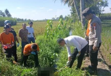 Geger Temuan Jasad Bayi Laki-laki di Sukonolo Bululawang Malang, Polisi Buru Pelaku