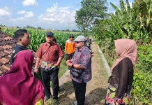 Antisipasi Kekeringan, BPBD Kota Probolinggo Bangun Sumur Bor di Jrebeng Kulon