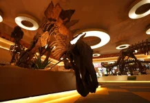 Dino Fossil Dino Park Hadirkan Edukasi Dunia Dinosaurus