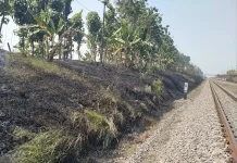 KAI Daop 7 Madiun Larang Bakar Jerami Dekat Jalur Rel Kereta
