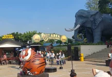 Jatim Park 2 Masih Jadi Destinasi Favorit Wisatawan