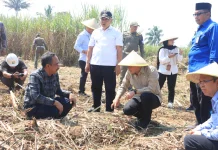 Wamenko Pangan Hanif Faisol Targetkan Swasembada Gula di Gondanglegi Malang