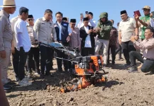 Wamentan Sudaryono Minta DPD HKTI Jatim Dukung Program Prioritas Pertanian