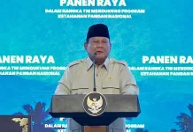 Prabowo Klaim Indonesia Capai Swasembada Pangan