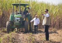 BULOG Perkuat Penyerapan Hasil Panen, Jaga Ketahanan Pangan Nasional