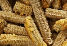 Jangan Dibakar! Bonggol Jagung Bisa Diolah Jadi Briket Ramah Lingkungan