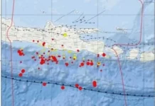 BMKG: Gempa Dangkal Dominasi Aktivitas Seismik Jawa Timur
