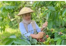 Desa Sumberdem Hadirkan Tujuh Kampung Tematik Berbasis Wisata Edukasi Unggulan