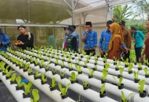 Wisata Desa Sumberdem Lebih Lengkap Dinikmati dengan Menginap Semalam