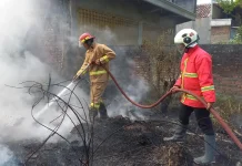 Damkar Pasuruan Catat 75 Kebakaran, Warga Diimbau Tak Bakar Sampah Sembarangan
