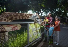 Jatim Park Group Gandeng Wonderful Indonesia Promosikan Pariwisata Kota Batu
