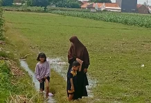 Antisipasi Kekeringan, Pemkot Probolinggo Usulkan Dua Irigasi Pompa ke Kementan