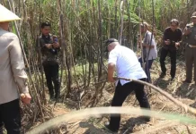 RDTR Kabupaten Malang Bakal Kunci Lahan Baku Sawah
