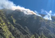 BPBD Probolinggo Pantau Kebakaran Hutan di Gunung Ringgit