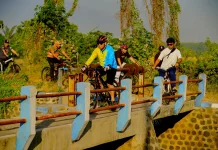 Wali Kota Probolinggo Tinjau Potensi Jalur Wisata dan Jogging Track Mangrove