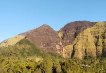 Karhutla Gunung Ringgit Mulai Terkendali, BPBD Probolinggo Tetap Siagakan Tim