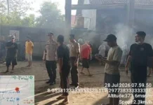 Korsleting Penghangat Kandang, Ratusan Ayam Hangus Terbakar di Gandusari Blitar