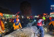 Pohon Tumbang di Pakisaji, Sembilan Orang Terluka