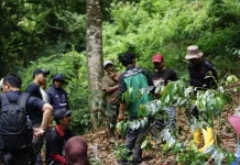 Mahasiswa dan Dosen UMM Bekali Kelompok Tani Hutan Teknik Stek dan Grafting Kopi