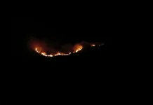 Savana Gunung Bromo Terbakar