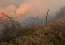 TNBTS Tutup Sebagian Akses Wisata Gunung Bromo