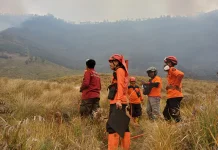 Karhutla Bromo: Luas Area Terbakar Diperkirakan Capai 7,9 Hektare