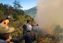 Tim Gabungan Perkuat Upaya Pemadaman Karhutla di Bukit Jantur