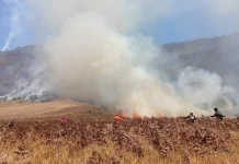 Karhutla Gunung Bromo Meluas, Warga Padamkan Api dengan Cara Tradisional