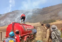 Kebakaran Hutan Bromo Belum Terkendali, Luas Area Terbakar Capai 51 Hektare