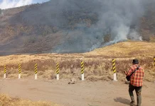 Karhutla Bromo Ancam Habitat Satwa Liar, Satu Titik Api Masih Dipantau