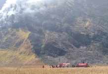 Karhutla Bromo Meluas ke Penanjakan, Luas Terdampak Capai 520 Hektare