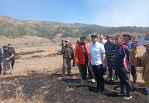 Cegah Karhutla, Pemkab Probolinggo Siapkan Edukasi ke Masyarakat