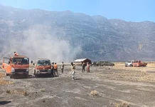 Karhutla Bromo Capai 742 Hektare, Water Bombing Terkendala Kabut dan Asap