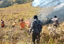 Karhutla Bromo Terkendali, 899 Hektare Terdampak
