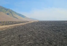 Karhutla Bromo Capai 889 Hektare, BNPB Berpacu Padamkan Api sebelum 14 Agustus