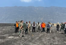 Hari Kesepuluh, Kebakaran di Bromo Masih Belum Padam