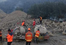 Karhutla Bromo Meluas Jadi 921 Hektare, Titik Api Terbesar Kini di Wilayah Dingklik