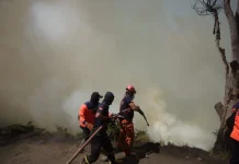 Kebakaran Hutan dan Lahan di Bromo Merembet ke Bukit Cinta di Tosari