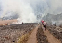 Karhutla Bromo, Pelaku Wisata Apresiasi Perjuangan Relawan dan Tim Gabungan